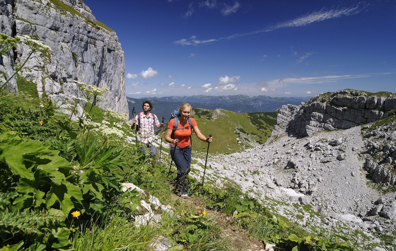 Apartament Fruehstueckspension Karwendel